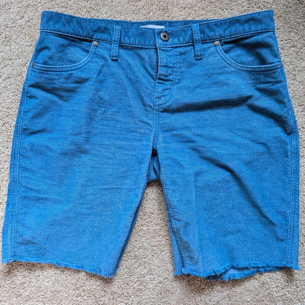 Carve Designs Blue Women's Shorts